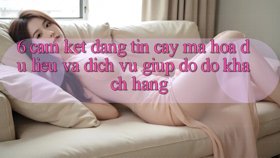 6. Cam Kết Đáng tin cậy Mã hóa dữ liệu Và Dịch Vụ Giúp đỡ đỡ Khách Hàng 6. Cam Kết Đáng tin cậy Mã hóa dữ liệu Và Dịch Vụ Giúp đỡ đỡ Khách Hàng