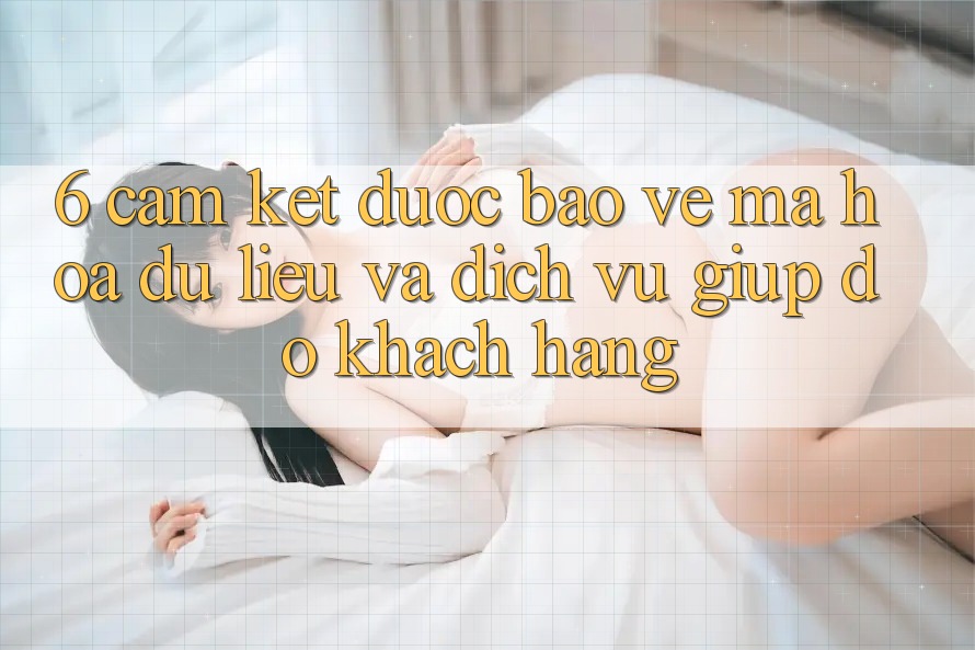6. Cam Kết Được bảo vệ Mã hóa dữ liệu Và Dịch Vụ Giúp đỡ Khách Hàng 6. Cam Kết Được bảo vệ Mã hóa dữ liệu Và Dịch Vụ Giúp đỡ Khách Hàng