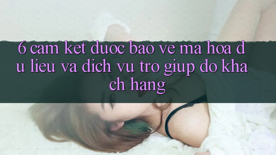 6. Cam Kết Được bảo vệ Mã hóa dữ liệu Và Dịch Vụ Trợ giúp đỡ Khách Hàng 6. Cam Kết Được bảo vệ Mã hóa dữ liệu Và Dịch Vụ Trợ giúp đỡ Khách Hàng