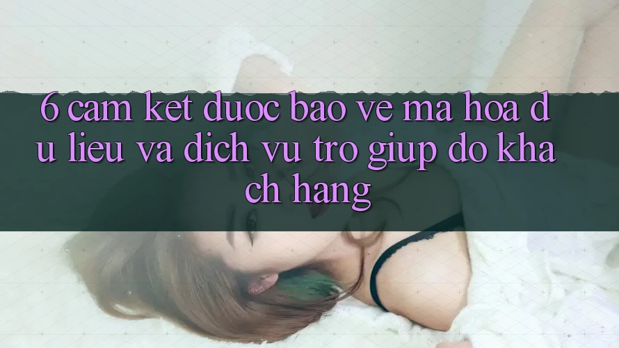 6. Cam Kết Được bảo vệ Mã hóa dữ liệu Và Dịch Vụ Trợ giúp đỡ Khách Hàng 6. Cam Kết Được bảo vệ Mã hóa dữ liệu Và Dịch Vụ Trợ giúp đỡ Khách Hàng