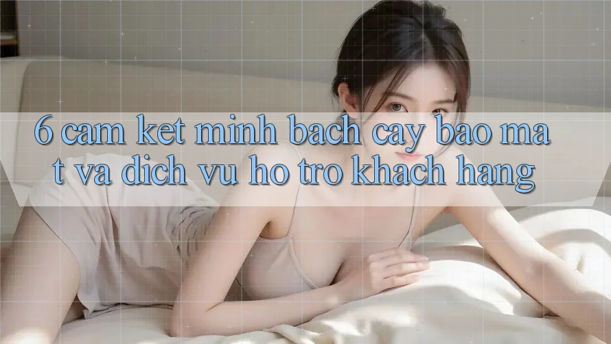 6. Cam Kết Minh bạch cậy Bảo Mật Và Dịch Vụ Hỗ trợ Khách Hàng 6. Cam Kết Minh bạch cậy Bảo Mật Và Dịch Vụ Hỗ trợ Khách Hàng