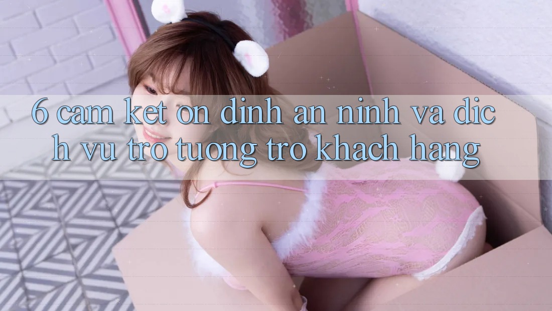 6. Cam Kết Ổn định An ninh Và Dịch Vụ Trợ tương trợ Khách Hàng 6. Cam Kết Ổn định An ninh Và Dịch Vụ Trợ tương trợ Khách Hàng