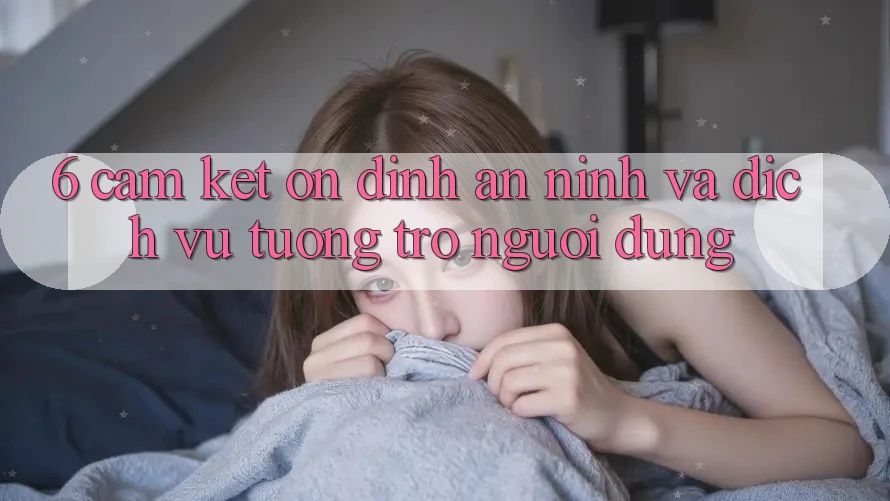 6. Cam Kết Ổn định An ninh Và Dịch Vụ Tương trợ Người dùng 6. Cam Kết Ổn định An ninh Và Dịch Vụ Tương trợ Người dùng