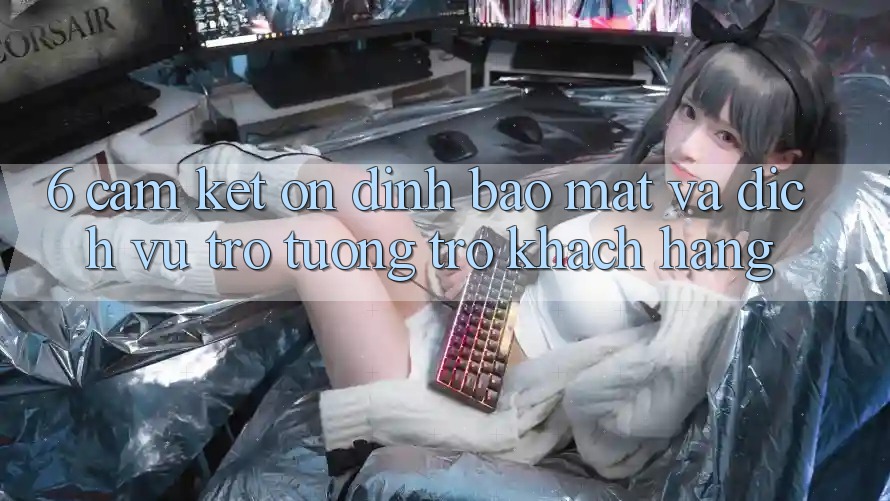 6. Cam Kết Ổn định Bảo Mật Và Dịch Vụ Trợ tương trợ Khách Hàng 6. Cam Kết Ổn định Bảo Mật Và Dịch Vụ Trợ tương trợ Khách Hàng