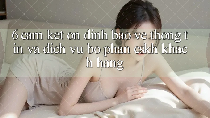 6. Cam Kết Ổn định Bảo vệ thông tin Và Dịch Vụ Bộ phận CSKH Khách Hàng