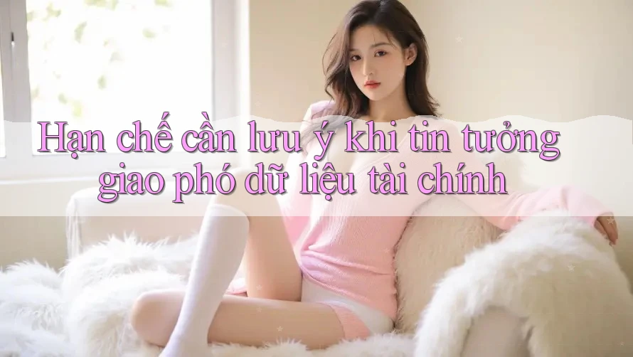 Hạn chế cần lưu ý khi tin tưởng giao phó dữ liệu tài chính Hạn chế cần lưu ý khi tin tưởng giao phó dữ liệu tài chính